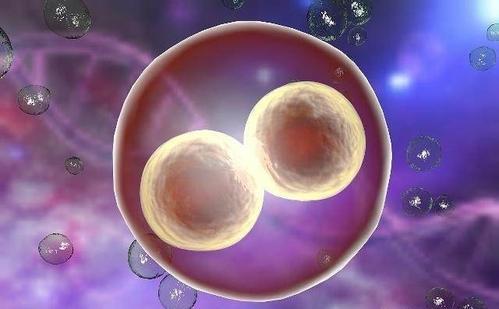 助孕儿子包成功